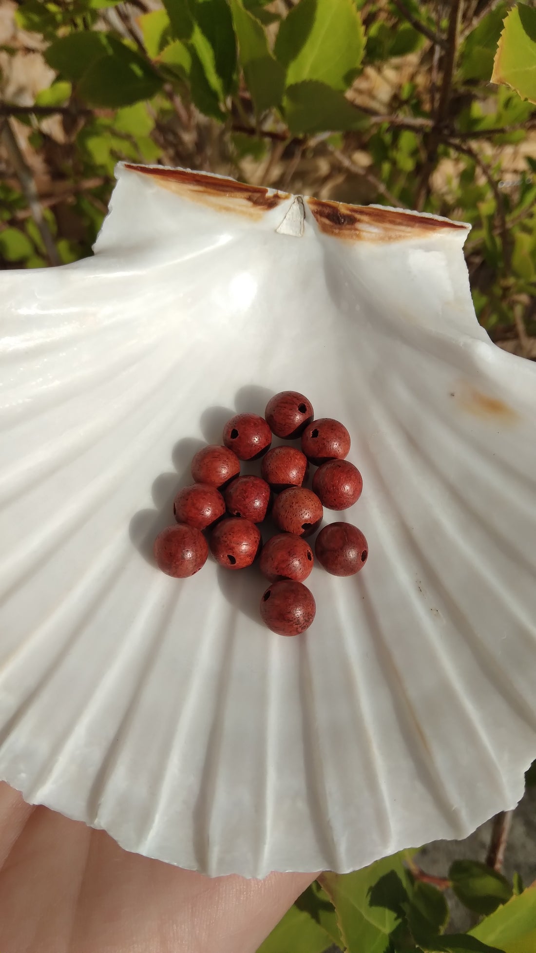 Les vertus du bois de rose